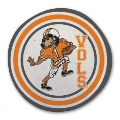 Tennessee Multicolor Melamine Dinner Plate (Set of 6) by Magnolia Lane